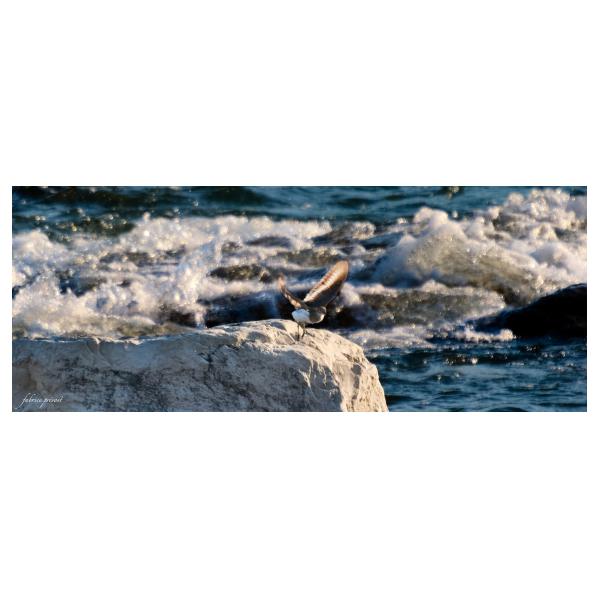 PHOTO84, CLUB, 84 , LUBERON